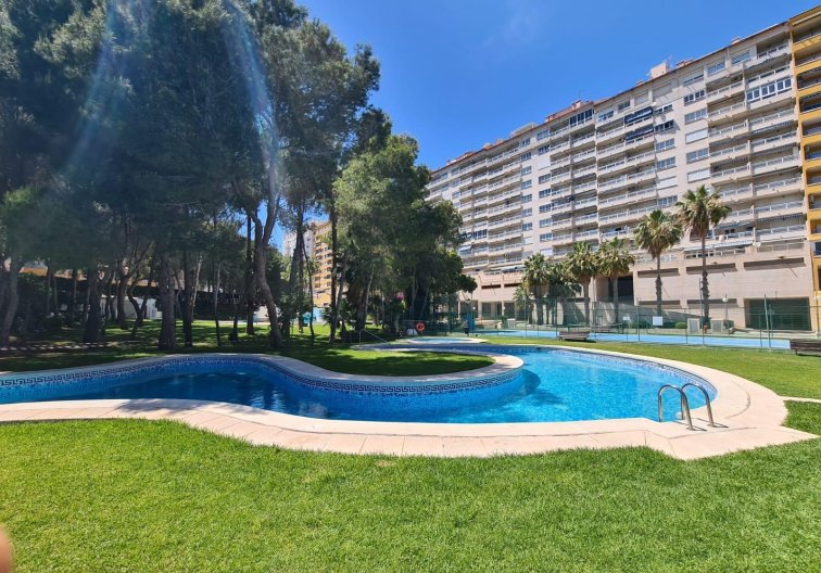 Apartamento  - Segunda mano - Orihuela Costa - Campoamor