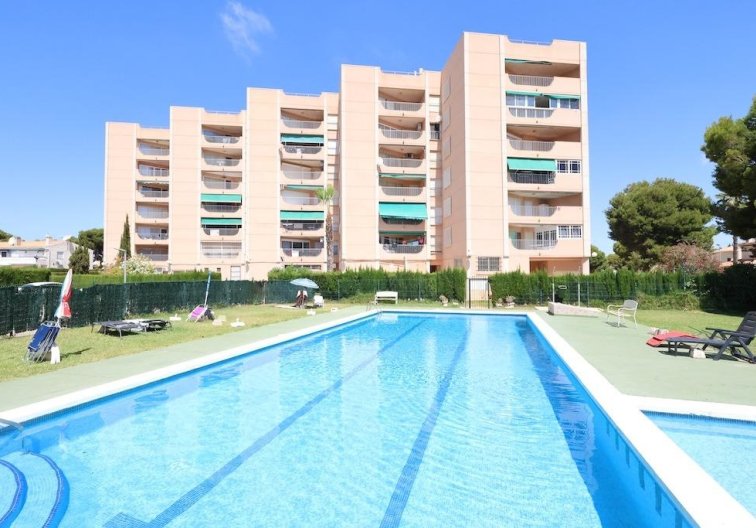 Apartamento  - Segunda mano - Orihuela Costa - Costa Blanca