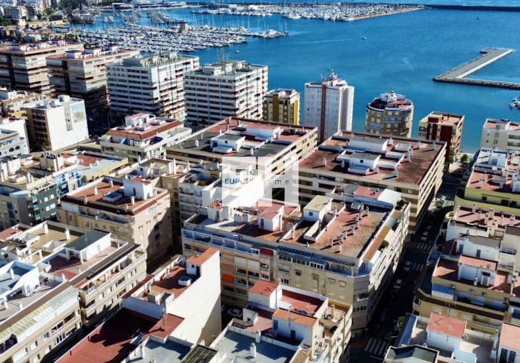 Apartamento  - Segunda mano - Torrevieja - Costa Blanca