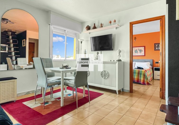 Apartamento  - Segunda mano - Torrevieja - Costa Blanca