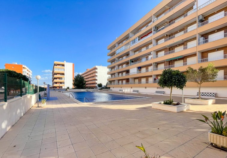 Apartamento  - Segunda mano - Torrevieja - Costa Blanca