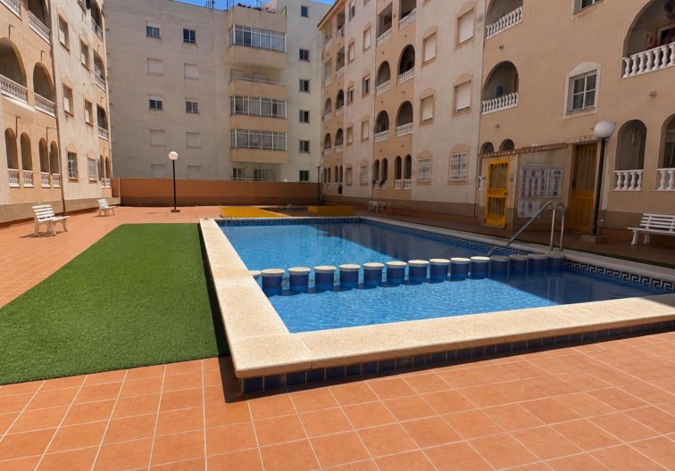 Apartamento  - Segunda mano - Torrevieja - Estacion De Autobuses