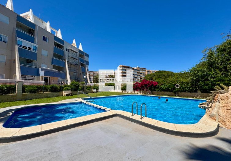 Apartment - Resale - Torrevieja - Gaspar Perrelló