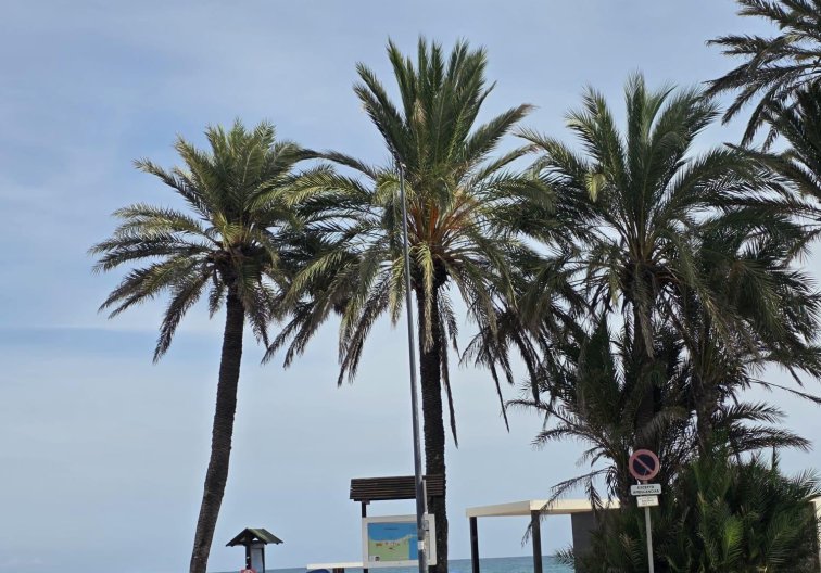 Appartement - Herverkoop - Orihuela Costa - Altos De Campoamor