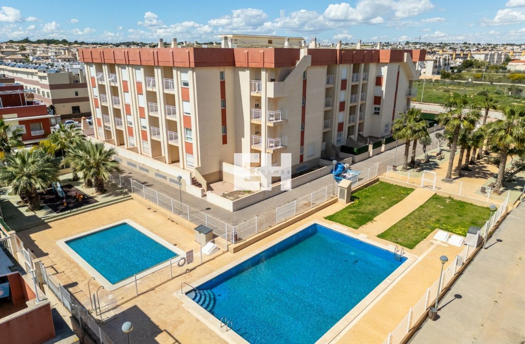 Construction Neuve - Ground floor apartment - Orihuela Costa - Lomas de Cabo Roig
