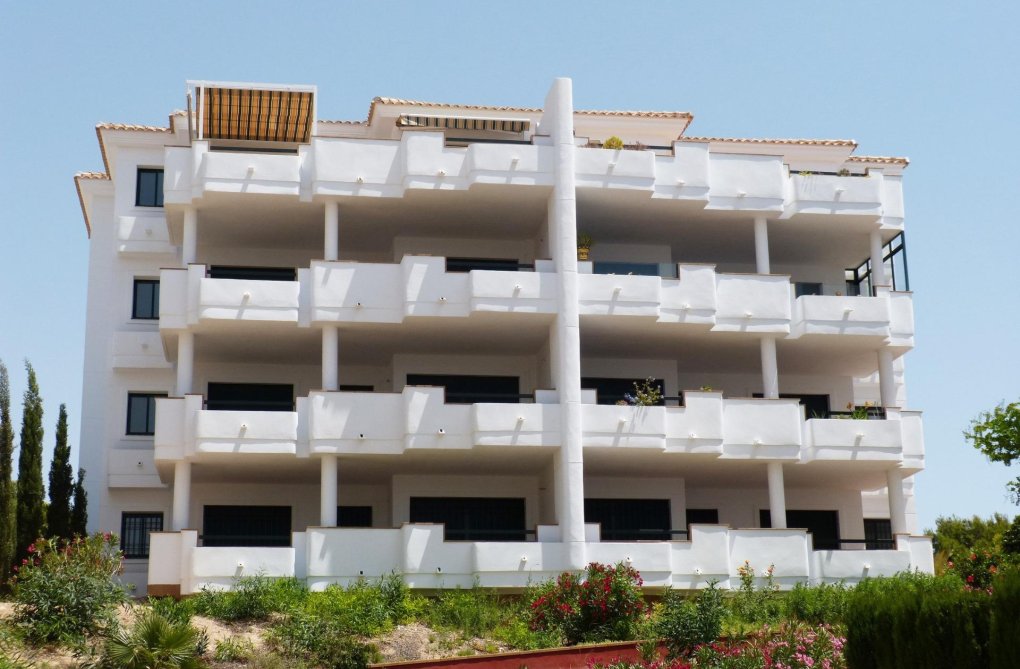 Construction Neuve - Penthouse - Orihuela Costa - Lomas de Campoamor