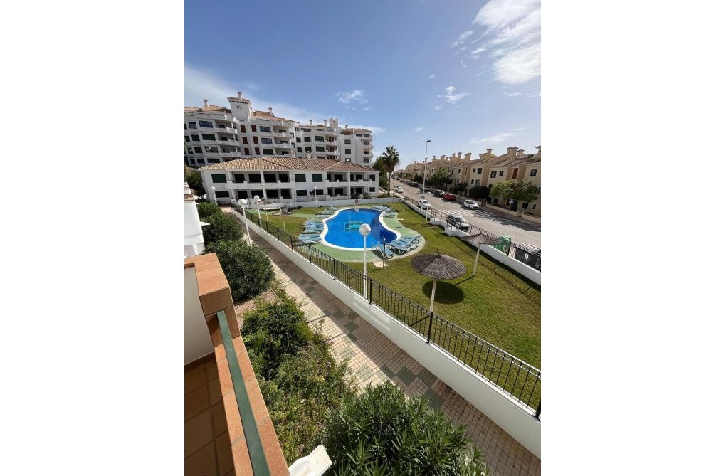Construction Neuve - Penthouse - Orihuela Costa - Lomas de Campoamor