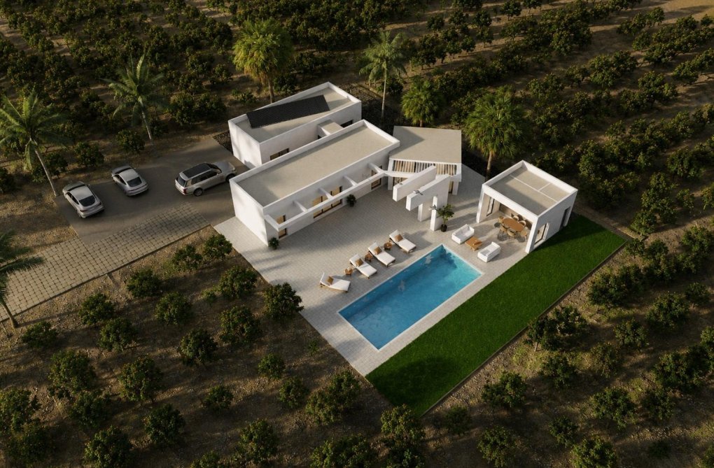 Construction Neuve - villa - Benejúzar - alta