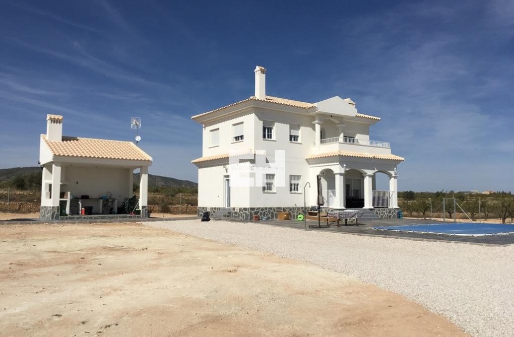 Construction Neuve - villa - Pinoso - Camino Del Prado