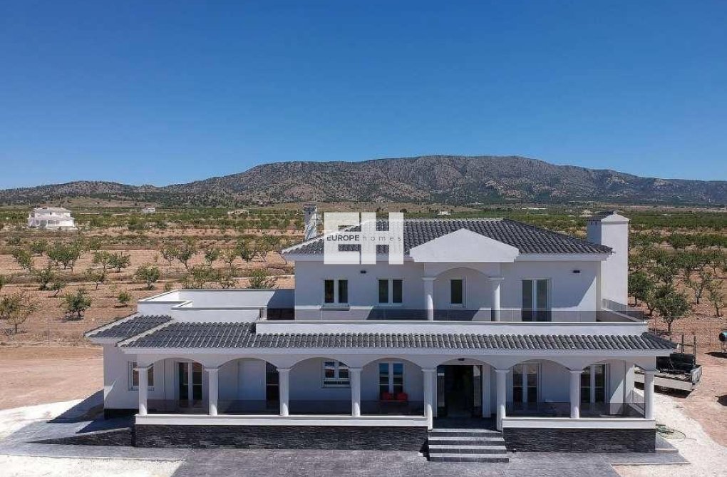 Construction Neuve - villa - Pinoso - Camino Del Prado