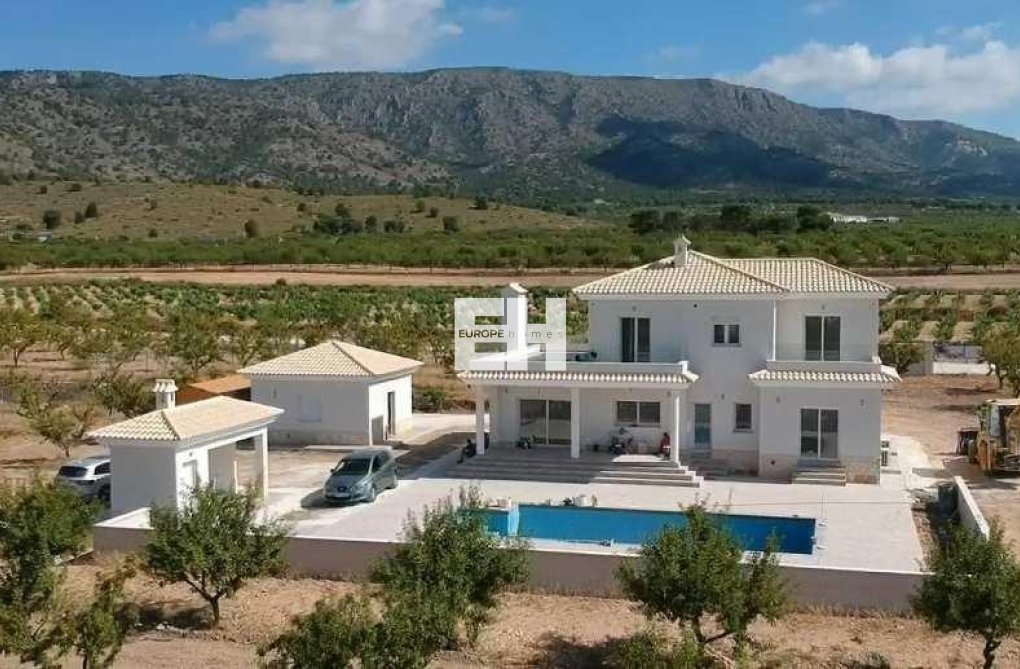 Construction Neuve - villa - Pinoso - Camino Del Prado