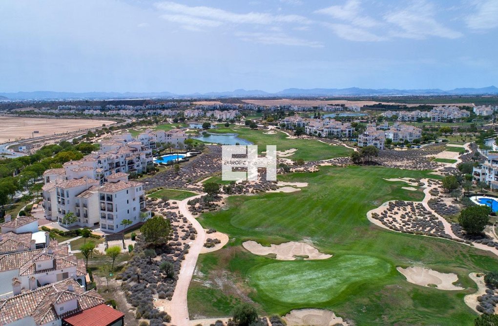 Construction Neuve - villa - Sucina