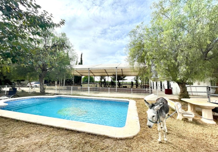 Country House - Resale - Orihuela - Inland