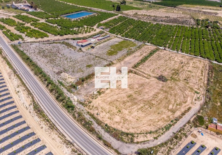 Finca - Herverkoop - Los Montesinos - Los Montesinos