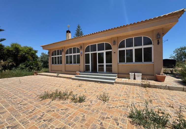 Finca - Revente - Dolores - Comunidad Valenciana