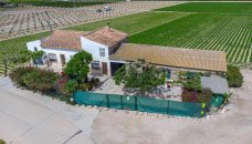 Finca - Revente - Orihuela - EH-98698