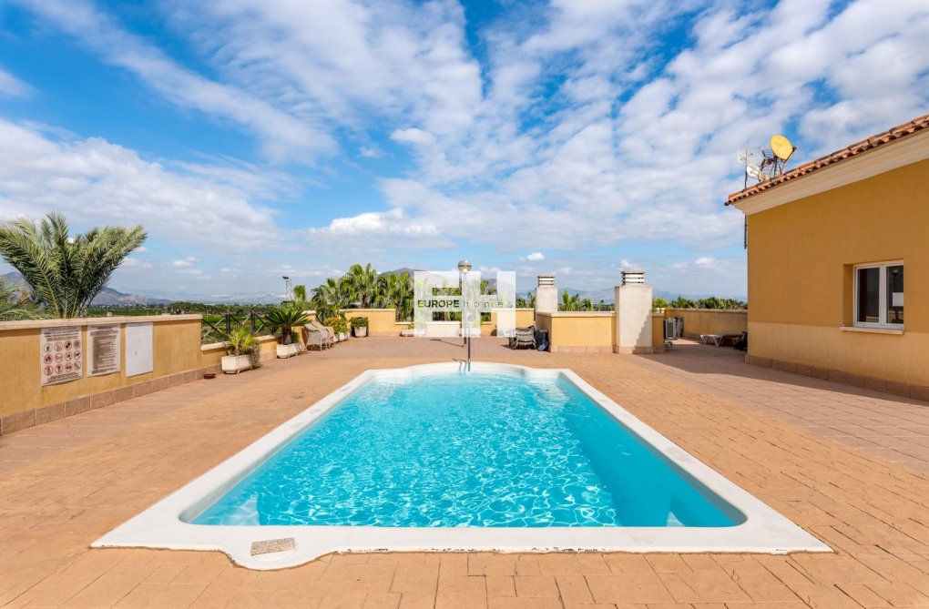 Herverkoop - Appartement - Jacarilla - Inland