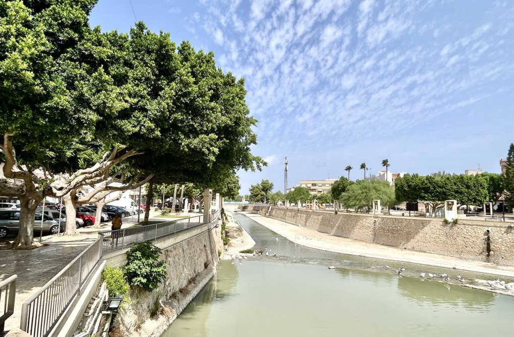 Herverkoop - Appartement - Rojales - Inland