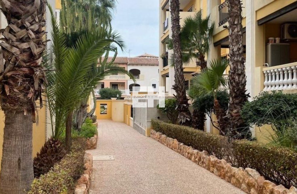 Herverkoop - Appartement - Torrevieja - Costa Blanca