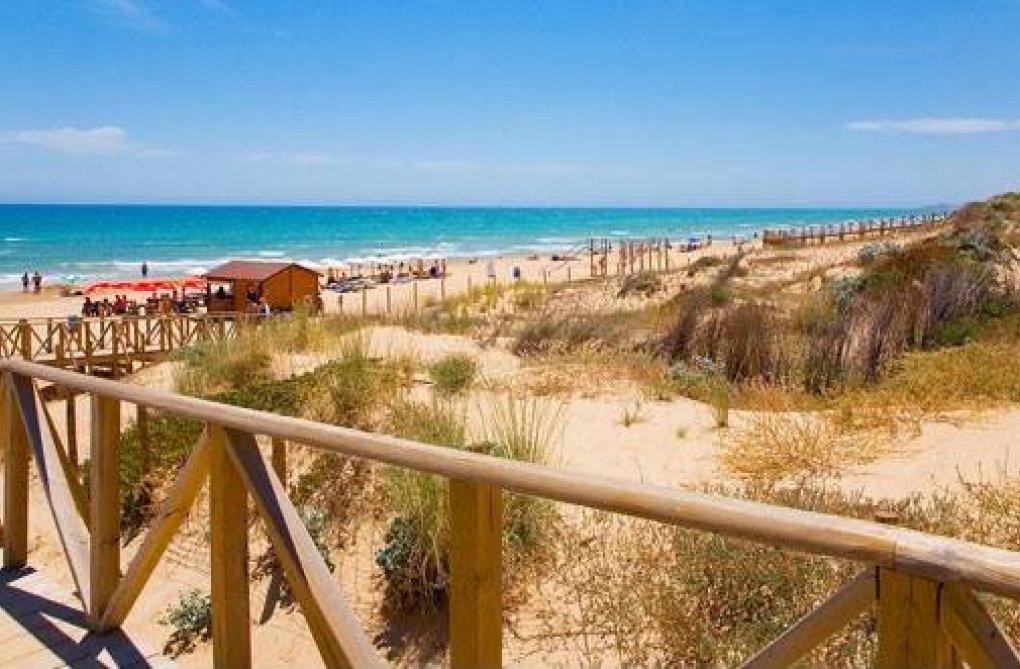 Herverkoop - Penthouse Penthouse - Guardamar del Segura - Costa Blanca