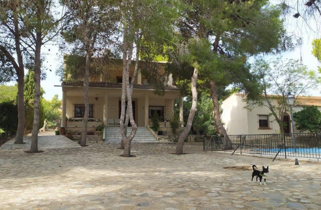 Herverkoop - villa - Torrevieja - Los Balcones 