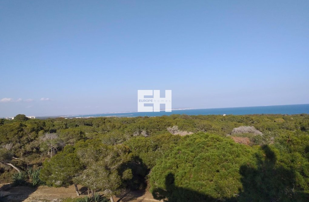 Neubau - Ground floor apartment - Guardamar del Segura - Pueblo