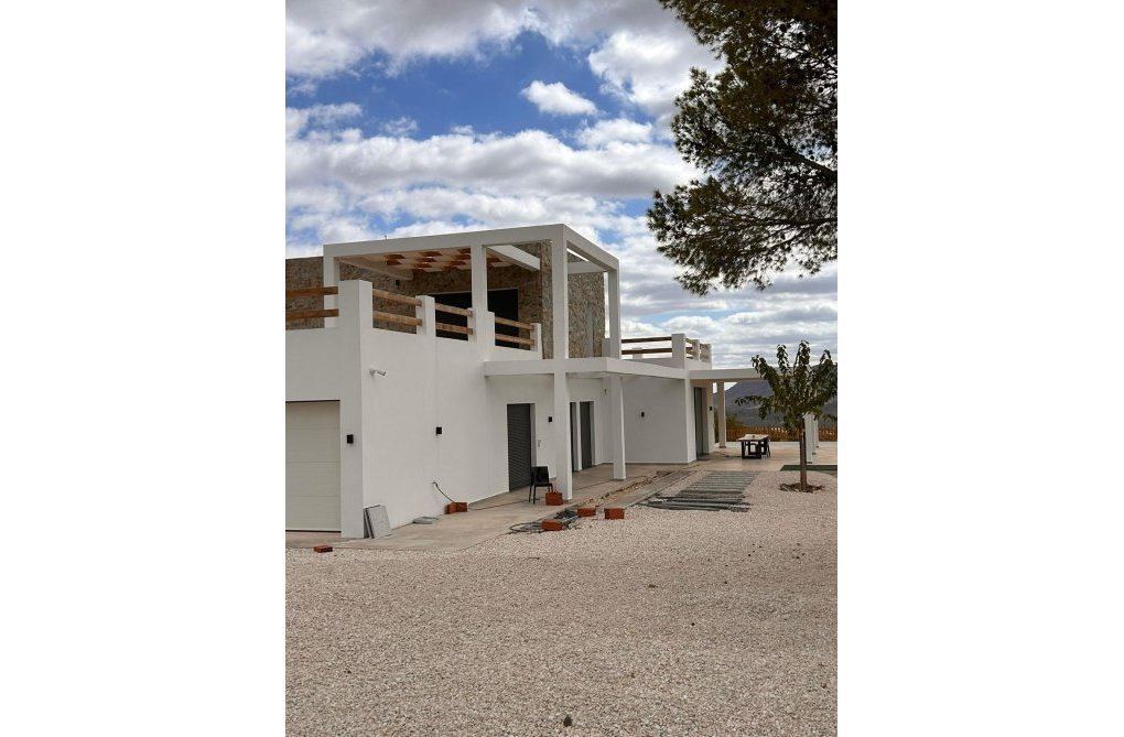 Neubau - villa - Pinoso - Casas Pastor