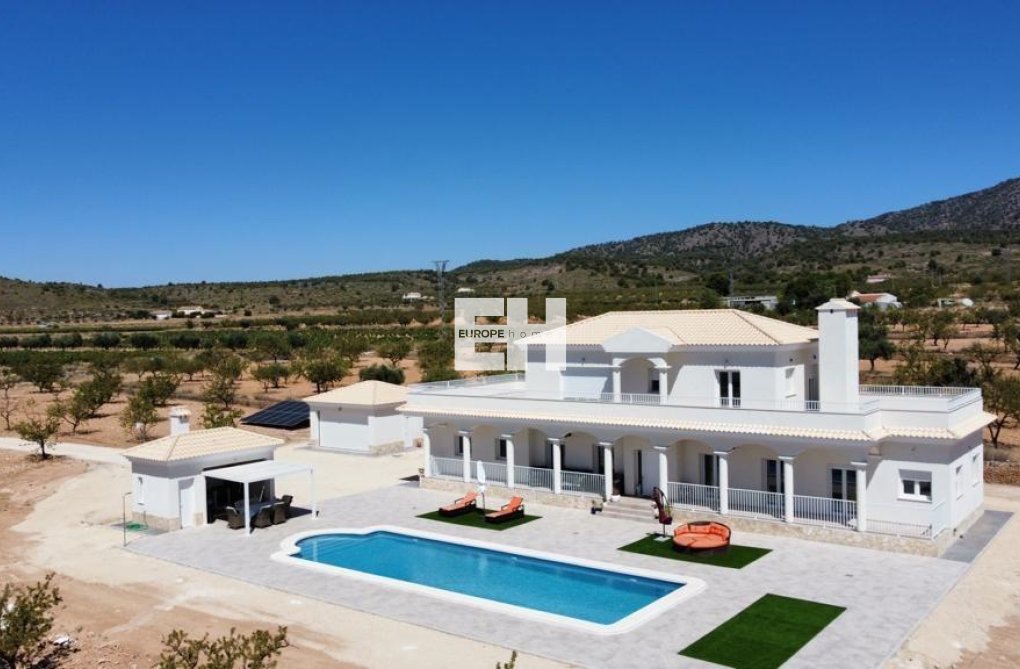 New Build - villa - Pinoso - Camino Del Prado