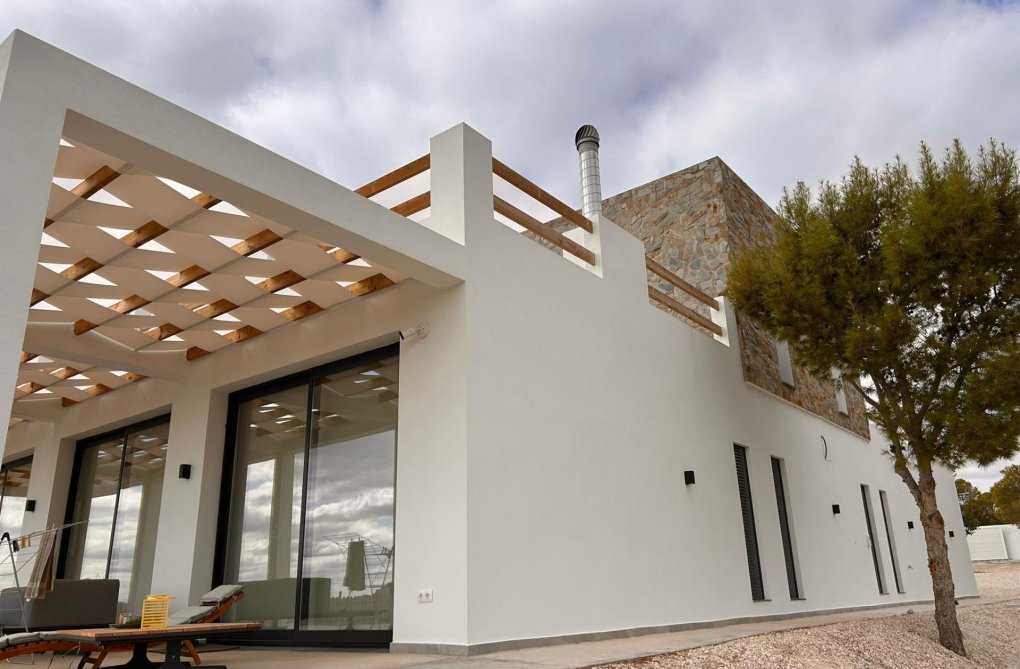 New Build - villa - Pinoso - Casas Pastor