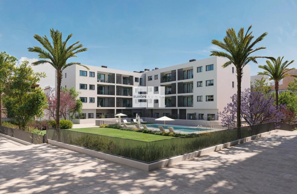 Obra Nueva - Apartamento  - Alicante - San Agustín
