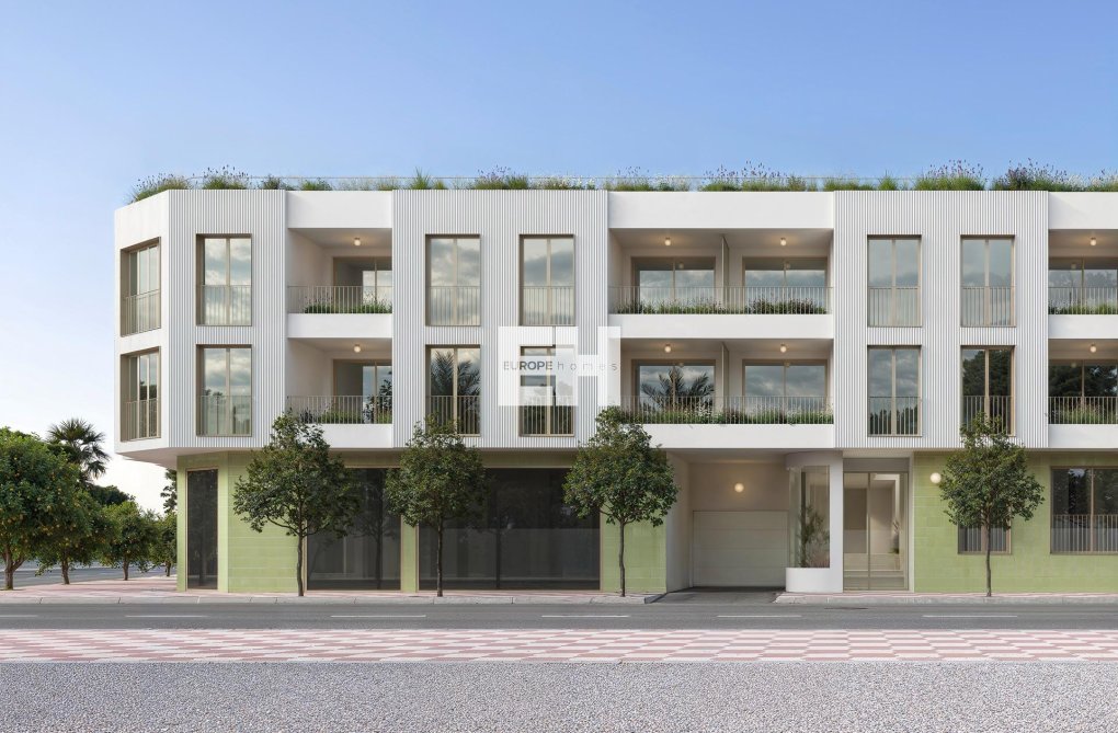 Obra Nueva - Ground floor apartment - Jacarilla - pueblo