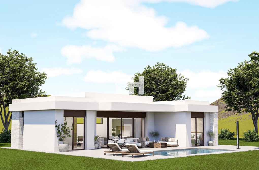 Obra Nueva - villa - Pinoso - Lel