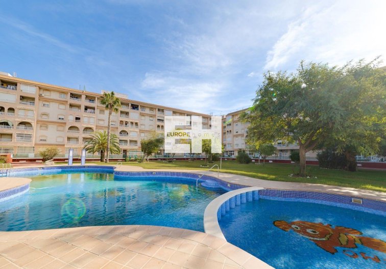 Penthaus - Wiederverkauf - Torrevieja - Centro