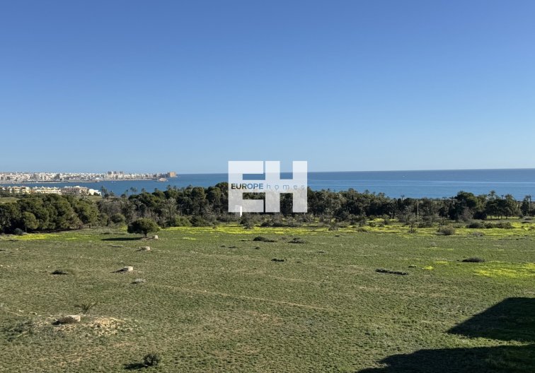 Penthouse Penthouse - Revente - Punta Prima - Costa Blanca