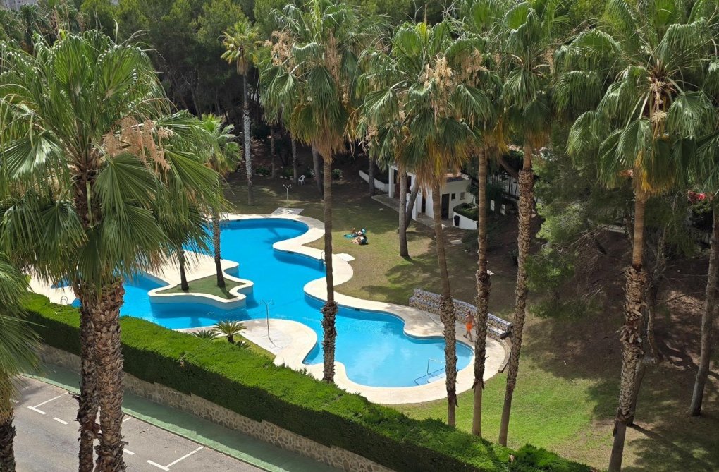 Resale - Apartment - Orihuela Costa - Altos De Campoamor