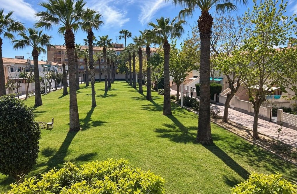 Resale - Apartment - Orihuela Costa - La Regia