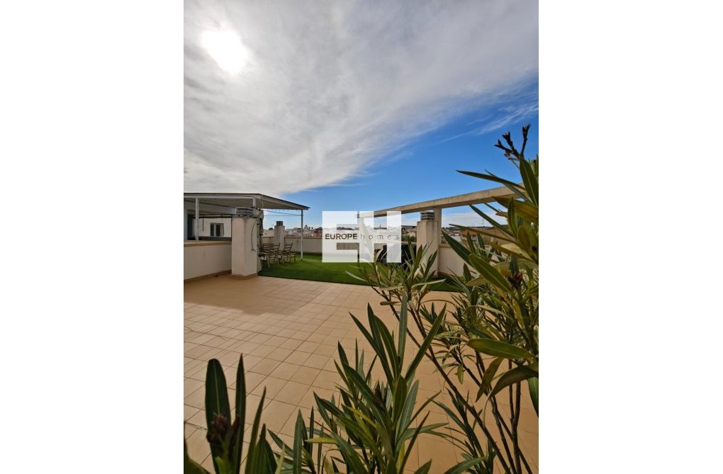 Resale - Apartment - San Miguel de Salinas - Pueblo 9