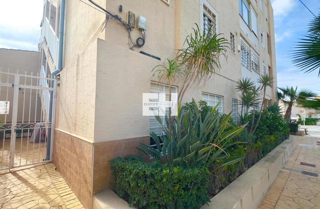 Resale - Apartment - Torrevieja - Zona Los Frutales