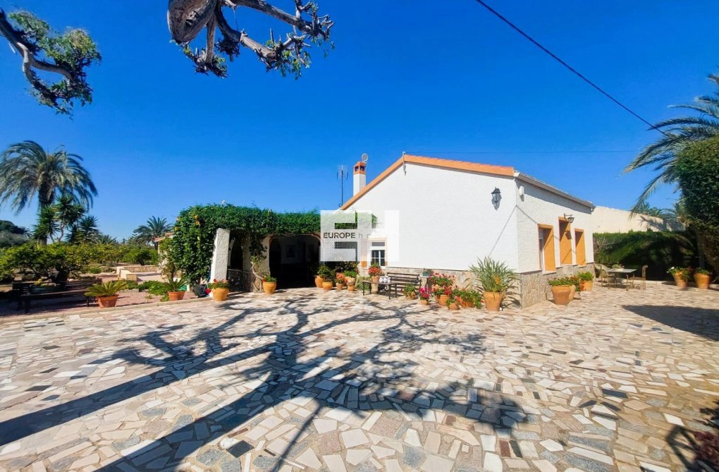 Resale - Finca - La Marina - Costa Blanca