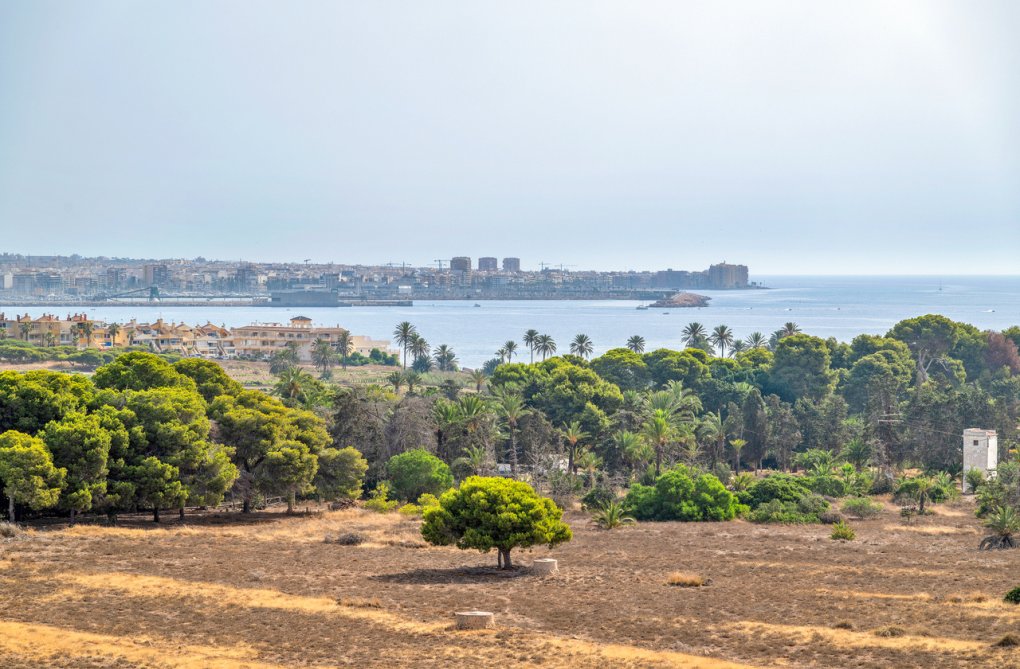 Resale - Penthouse - Punta Prima - Costa Blanca