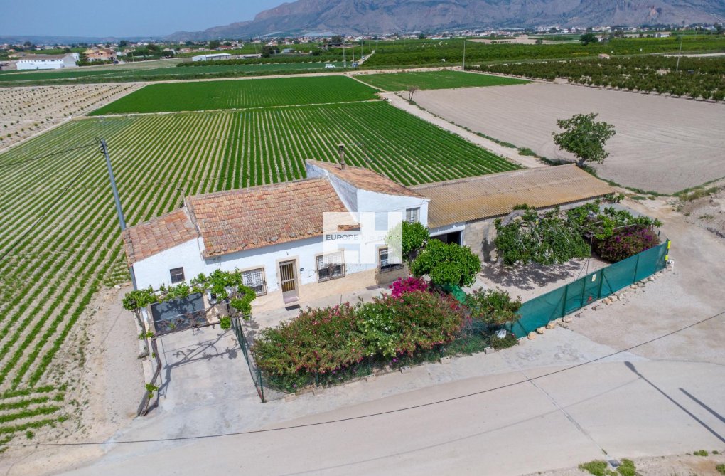 Revente - Finca - Orihuela - Desamparados-hurchillo-torremendo