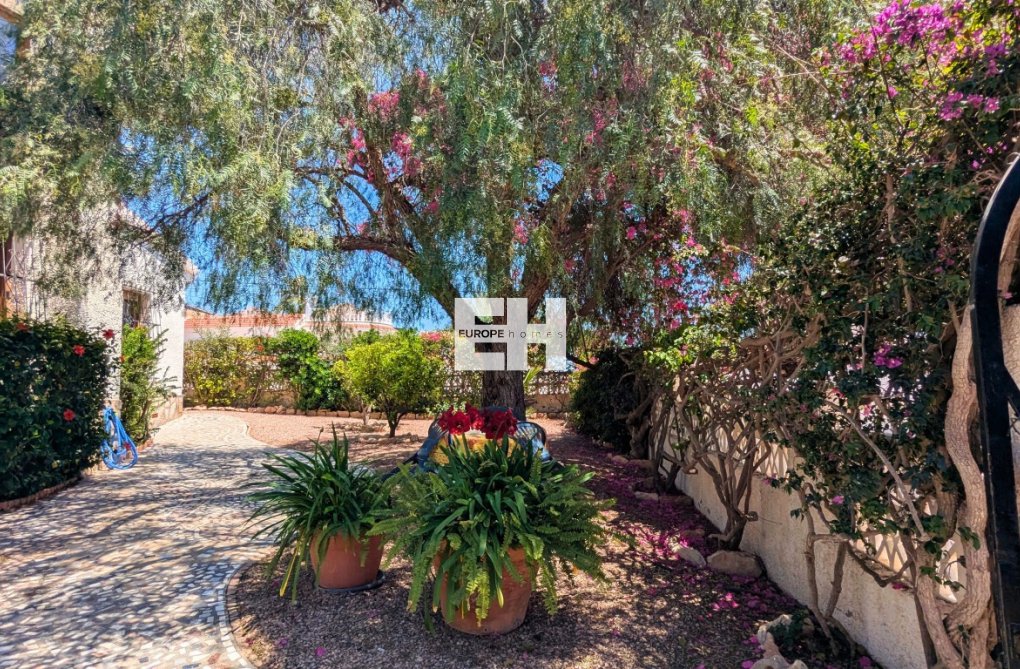 Revente - villa - Ciudad Quesada - Costa Blanca