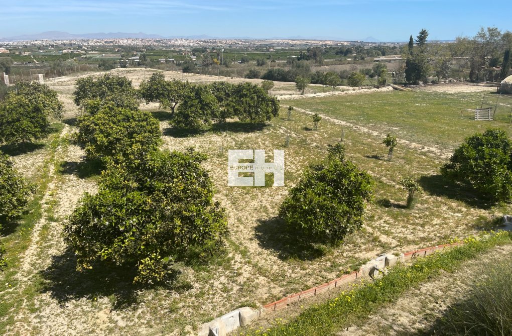 Revente - villa - Guardamar del Segura - Costa Blanca