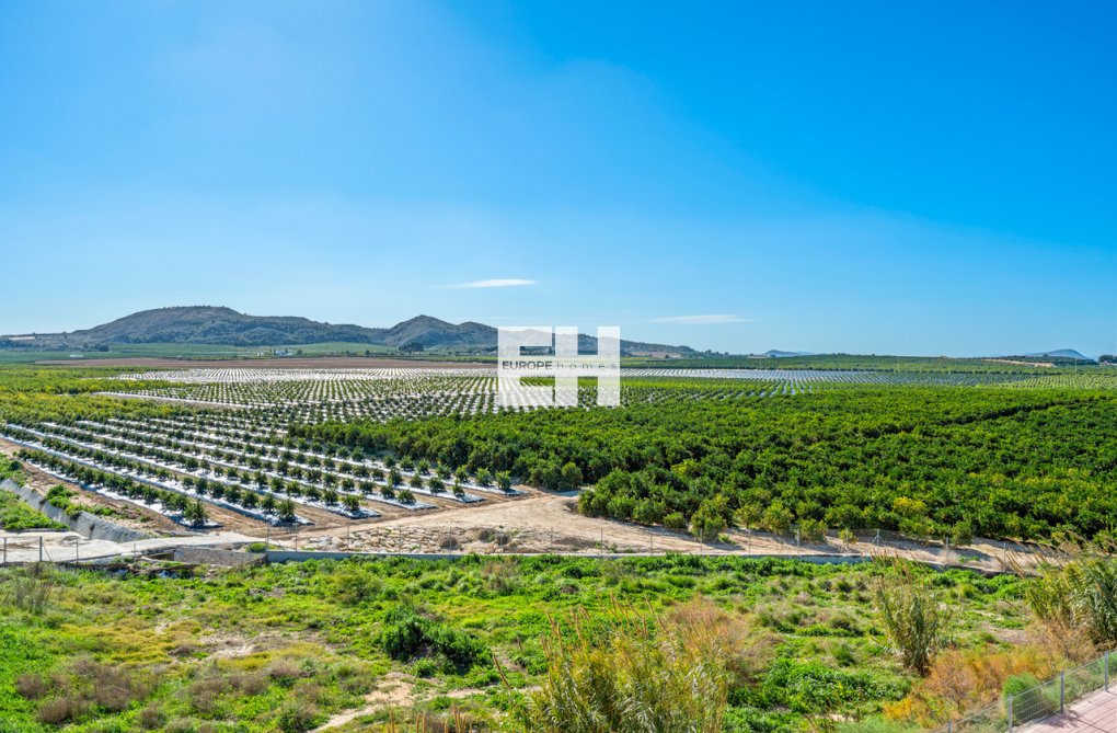 Segunda mano - Apartamento  - Algorfa - Inland