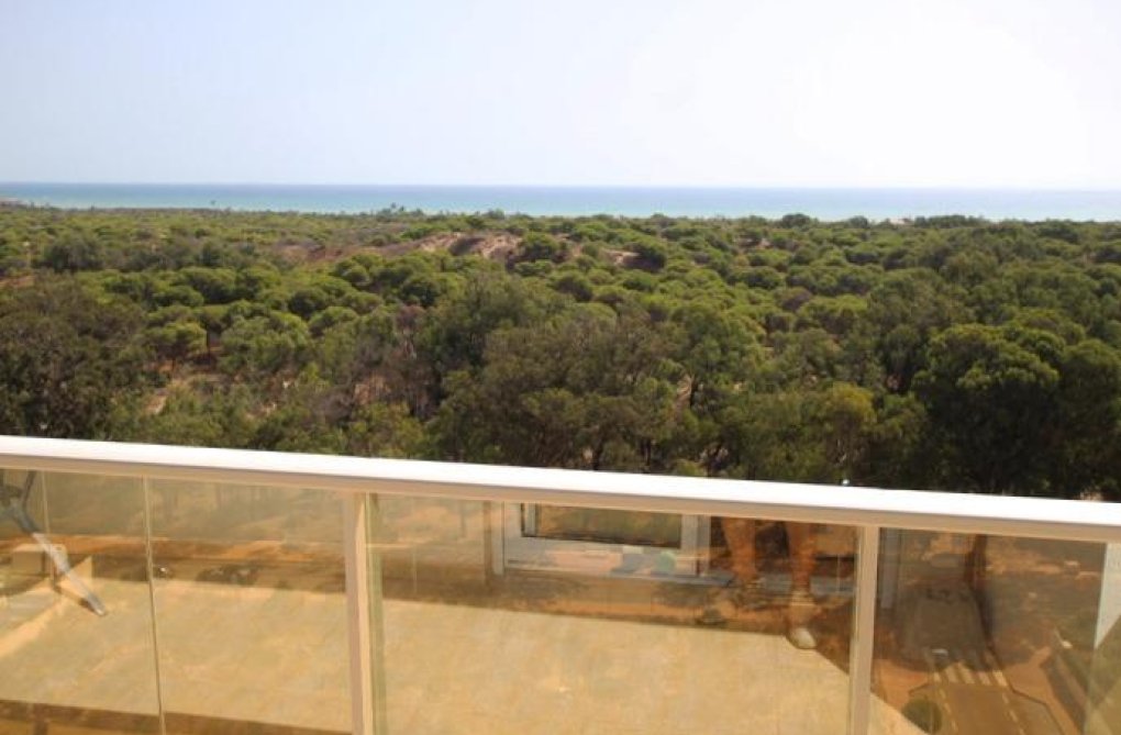 Segunda mano - Apartamento  - Guardamar del Segura - Avenida del Puerto