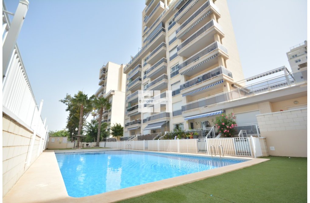 Segunda mano - Apartamento  - Guardamar del Segura - Costa Blanca