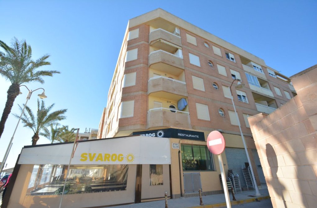 Segunda mano - Apartamento  - Guardamar del Segura - Costa Blanca