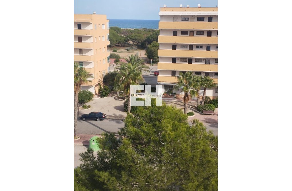 Segunda mano - Apartamento  - Guardamar del Segura - Pinomar