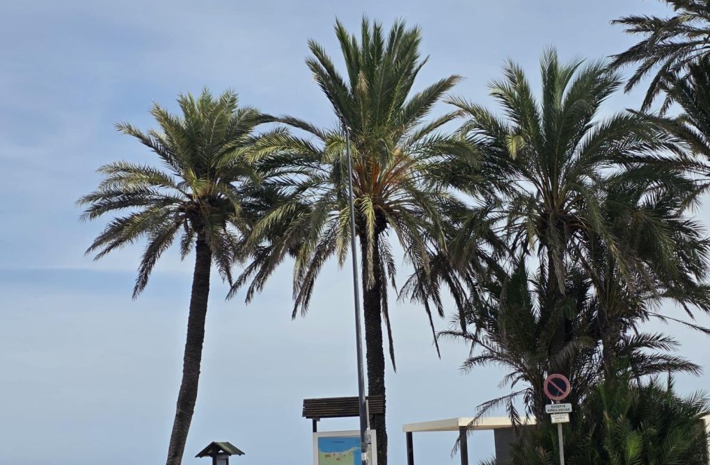 Segunda mano - Apartamento  - Orihuela Costa - Altos De Campoamor