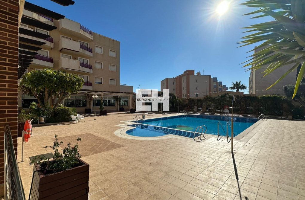 Segunda mano - Apartamento  - Orihuela Costa - Campoamor
